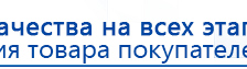 СКЭНАР-1-НТ (исполнение 02.2) Скэнар Оптима купить в Калининграде, Аппараты Скэнар купить в Калининграде, Дэнас официальный сайт denasolm.ru