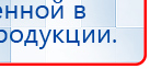 СКЭНАР-1-НТ (исполнение 02.1) Скэнар Про Плюс купить в Калининграде, Аппараты Скэнар купить в Калининграде, Дэнас официальный сайт denasolm.ru